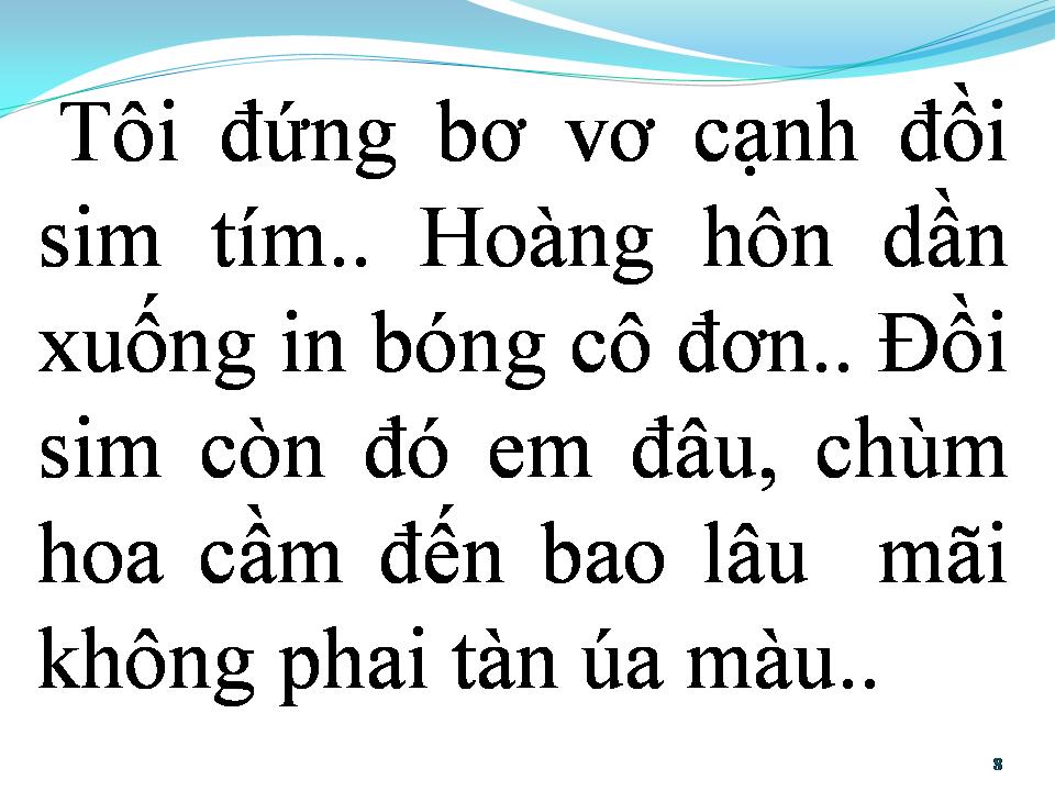 Lời bài hát CHIỀU BÊN ĐỒI SIM