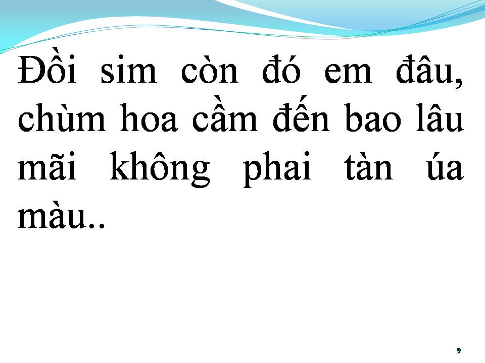 Lời bài hát CHIỀU BÊN ĐỒI SIM