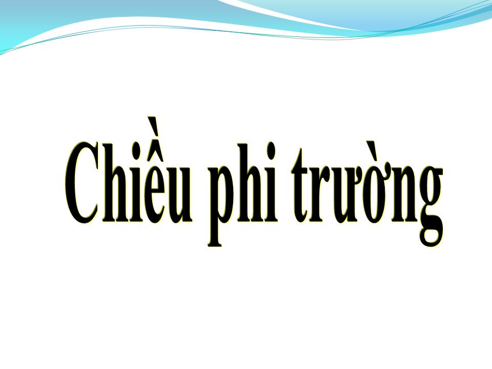 Lời bài hát CHIỀU PHI TRƯỜNG
