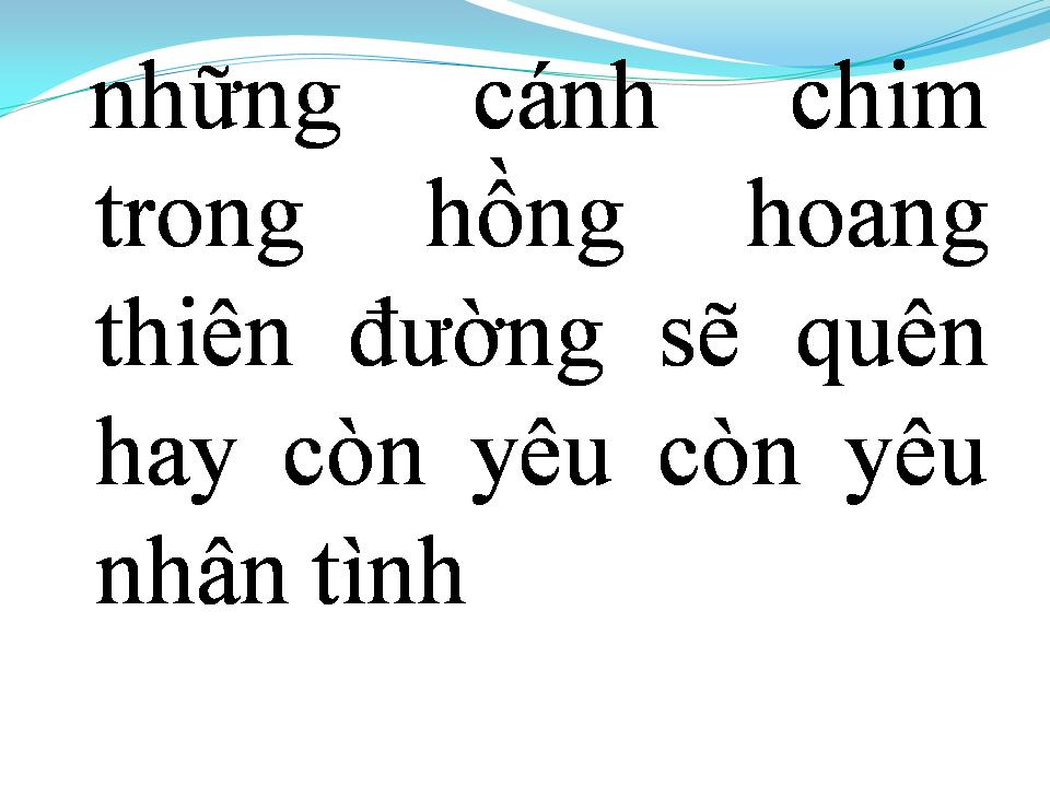 Lời bài hát CHIỀU PHI TRƯỜNG