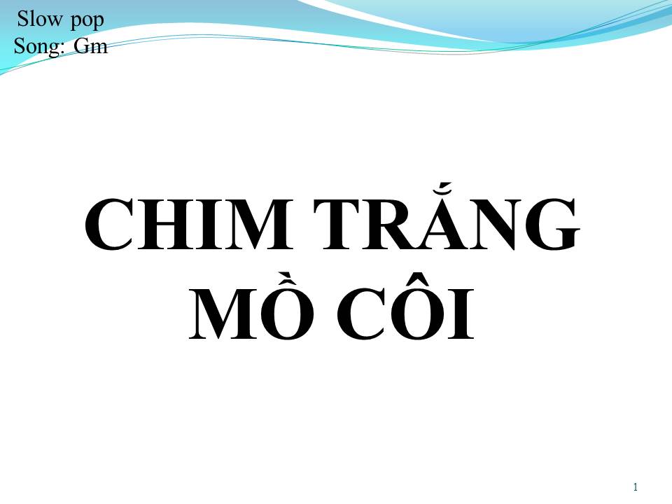 Lời bài hát CHIM TRẮNG MỒ CÔI (SONG CA)