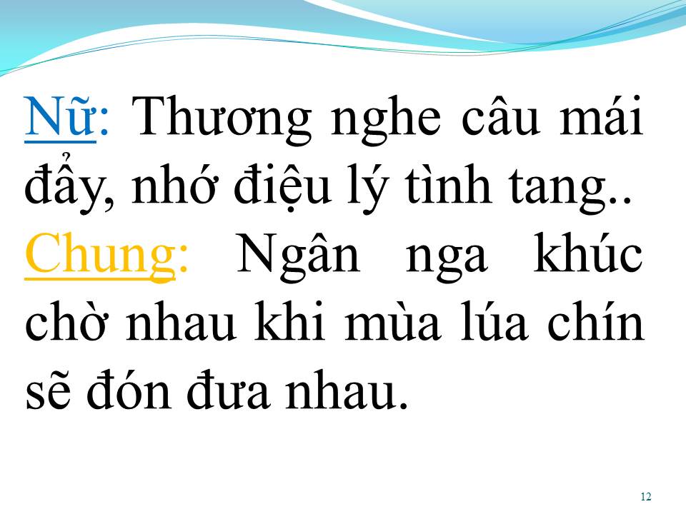 Lời bài hát CHIM TRẮNG MỒ CÔI (SONG CA)