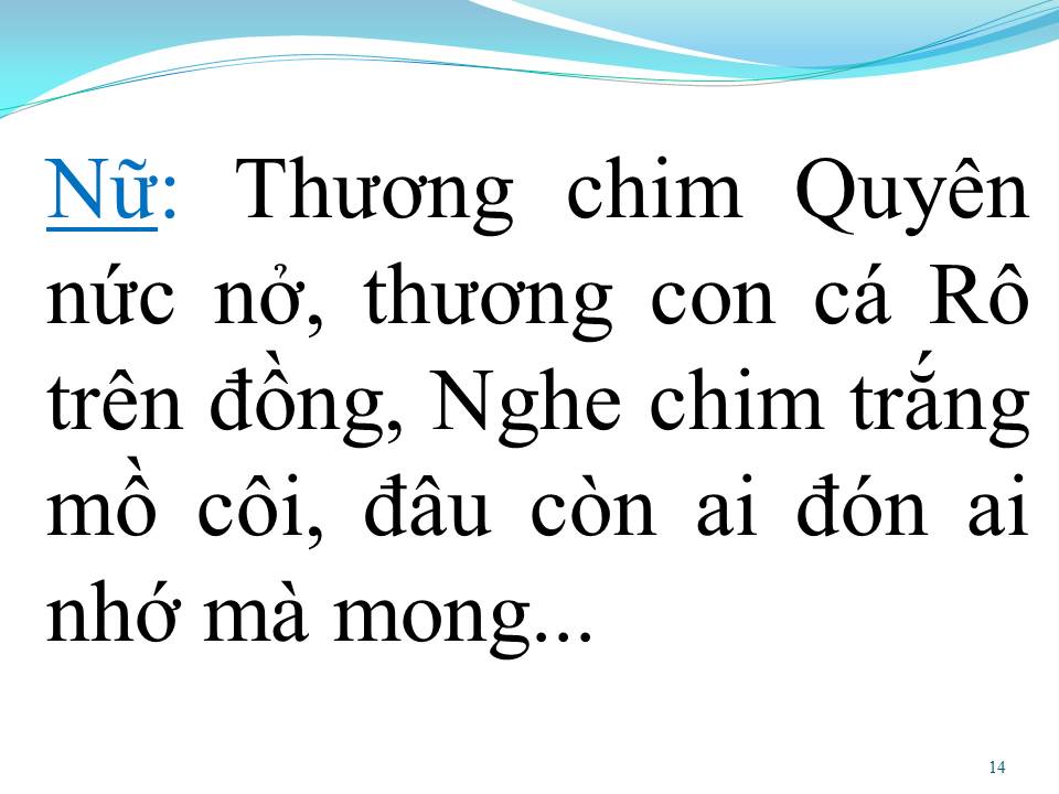 Lời bài hát CHIM TRẮNG MỒ CÔI (SONG CA)