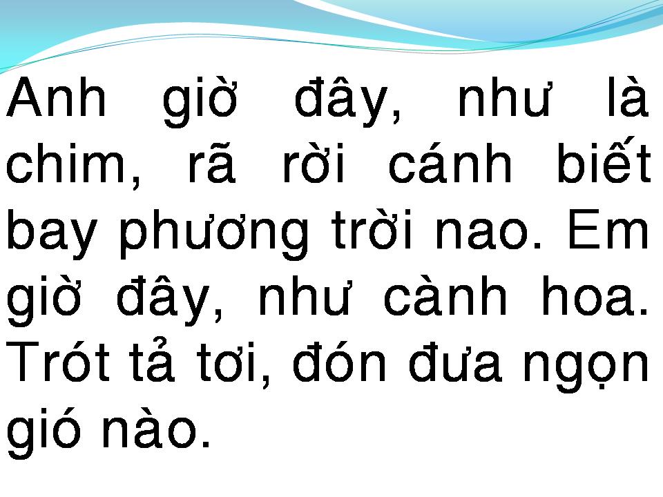 Lời bài hát CHO NGƯỜI TÌNH LỠ