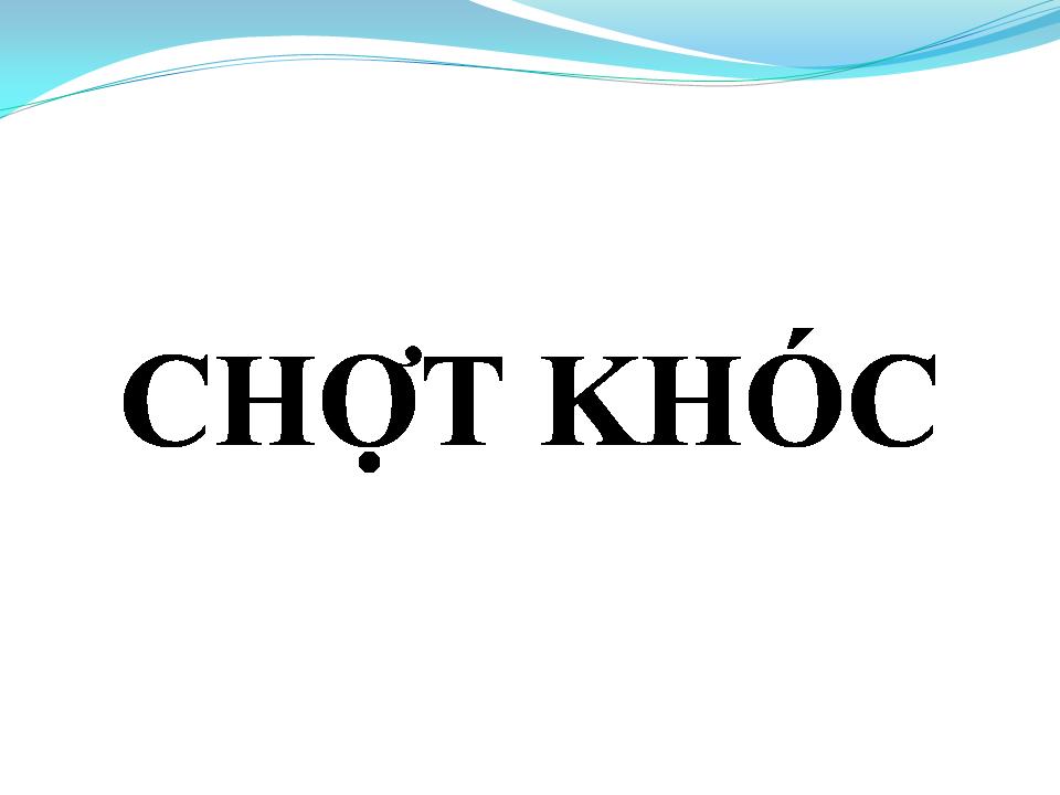 Lời bài hát CHỢT KHÓC