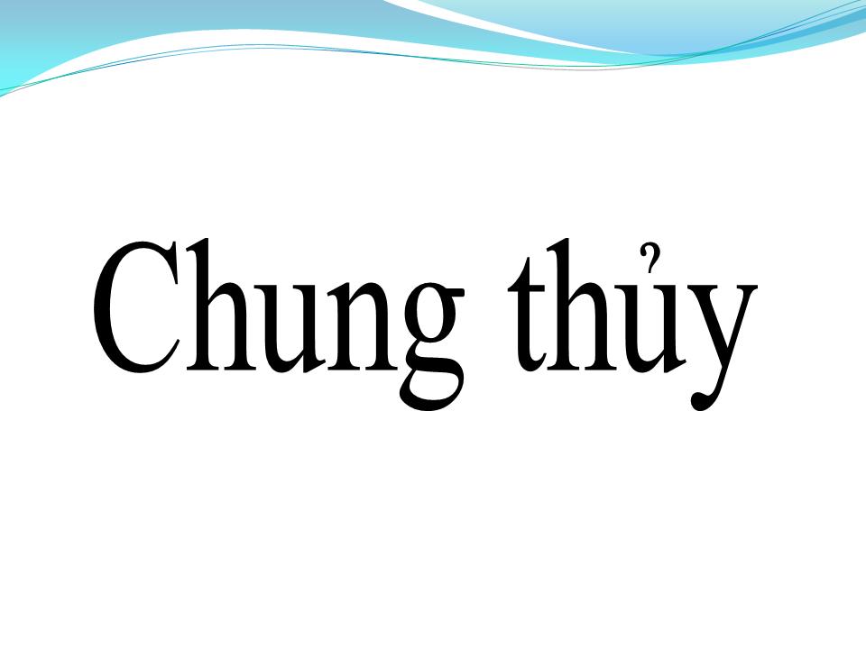 Lời bài hát CHUNG THỦY