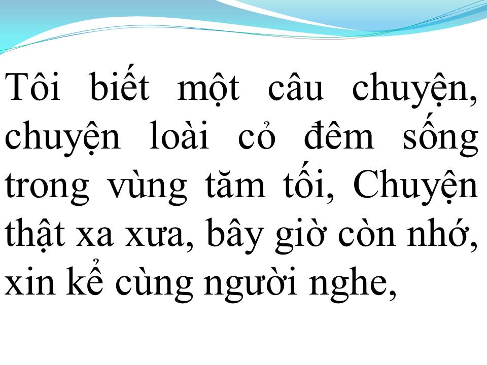 Lời bài hát CHUYỆN LOÀI CỎ ĐÊM