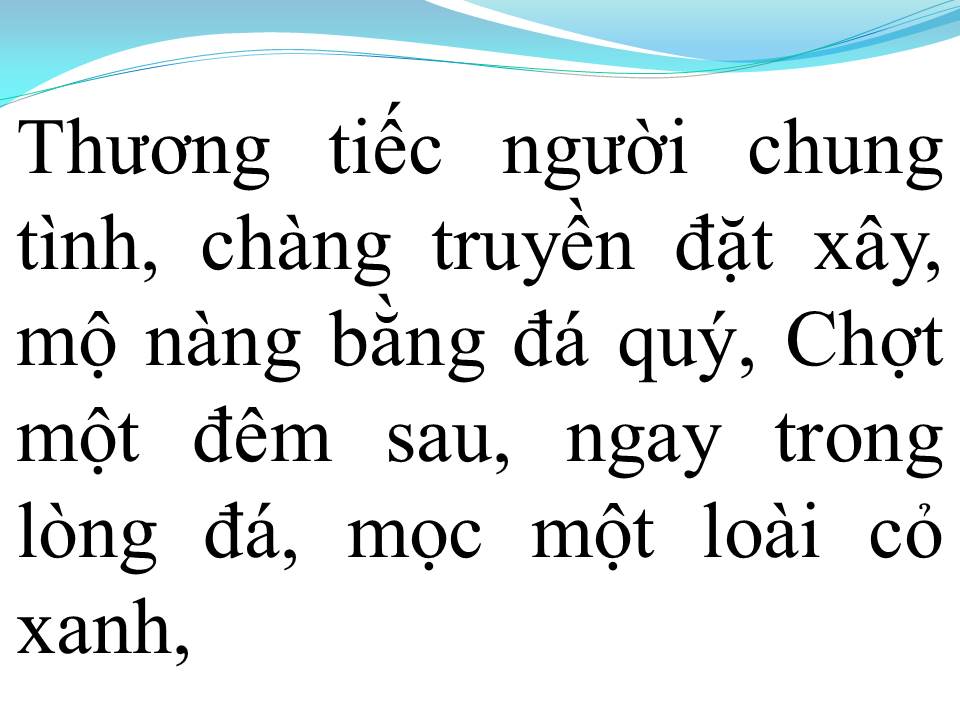 Lời bài hát CHUYỆN LOÀI CỎ ĐÊM