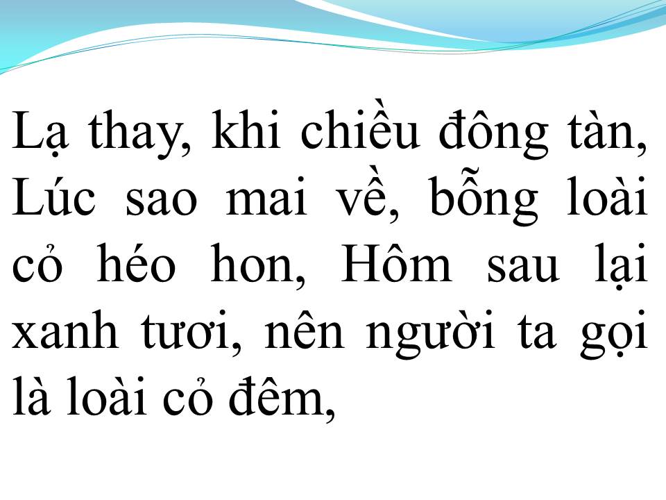 Lời bài hát CHUYỆN LOÀI CỎ ĐÊM