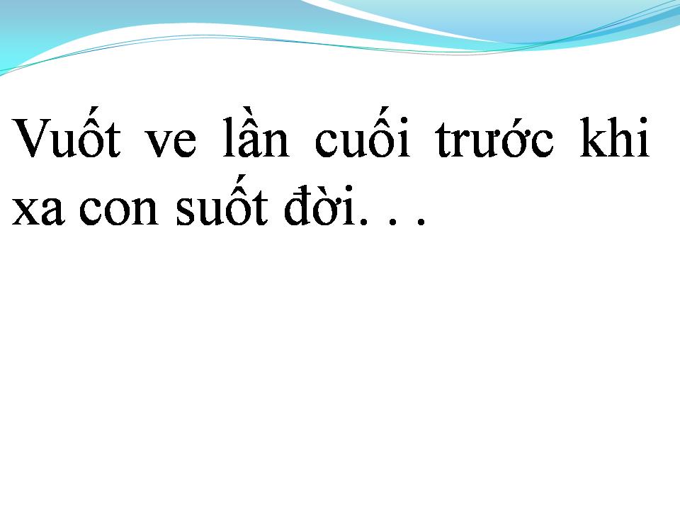 Lời bài hát CHUYỆN MỘT ĐÊM