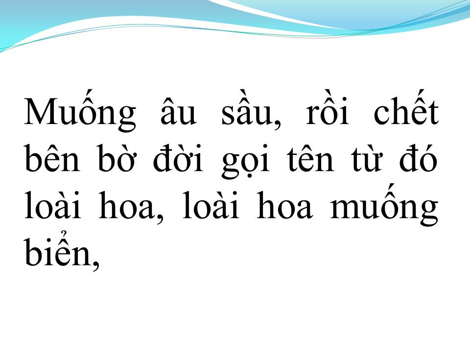 Lời bài hát CHUYỆN TÌNH HOA MUỐNG BIỂN