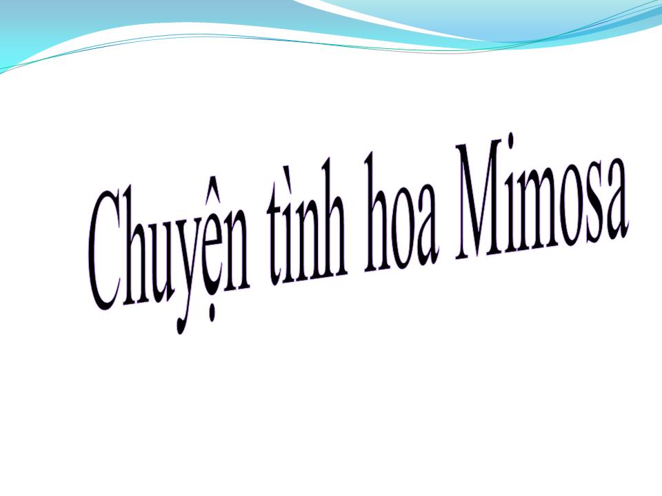 Lời bài hát CHUYỆN TÌNH MIMOSA