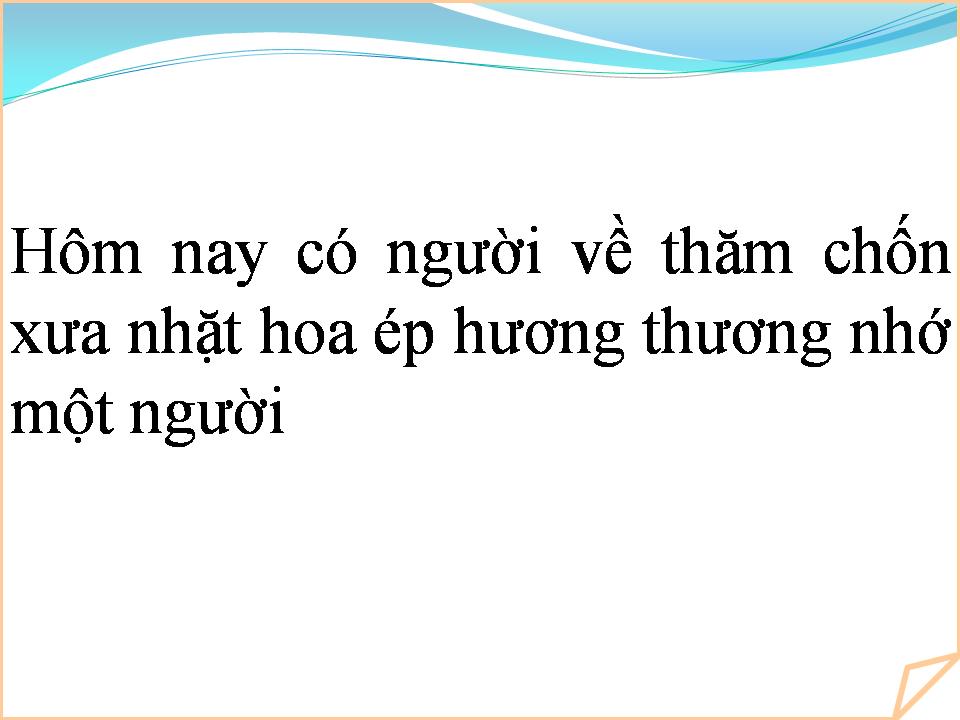 Lời bài hát CHUYỆN TÌNH MIMOSA