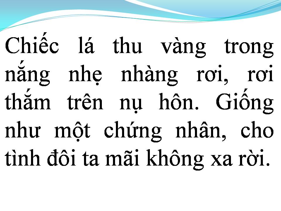 Lời bài hát CHỨNG NHÂN TÌNH YÊU