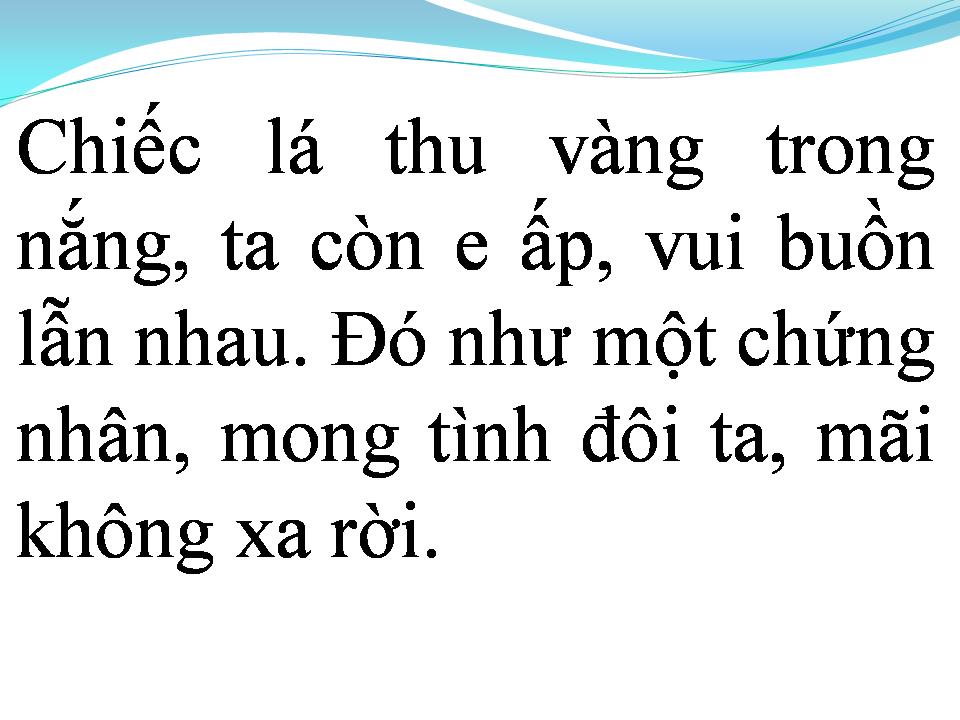 Lời bài hát CHỨNG NHÂN TÌNH YÊU