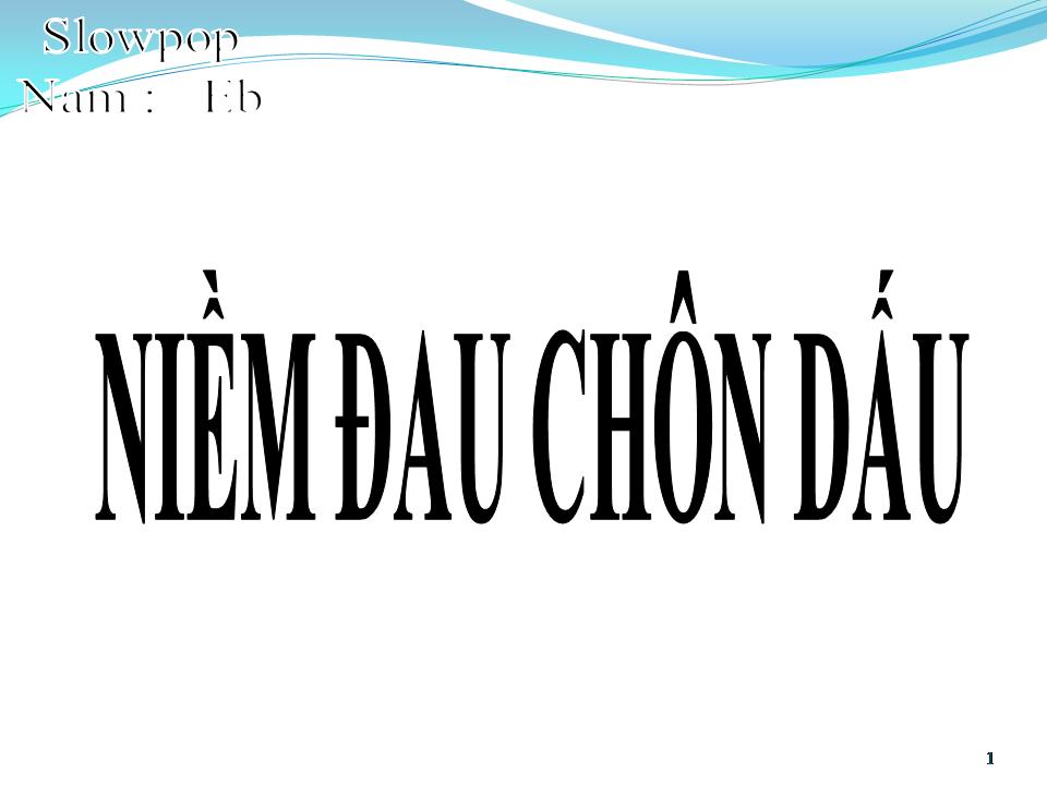 Lời bài hát NIỀM ĐAU CHÔN DẤU