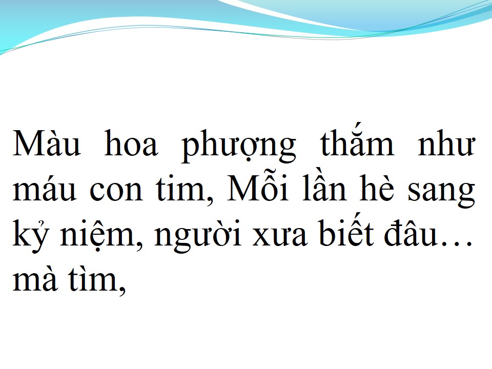 Lời bài hát NỖI BUỒN HOA PHƯỢNG