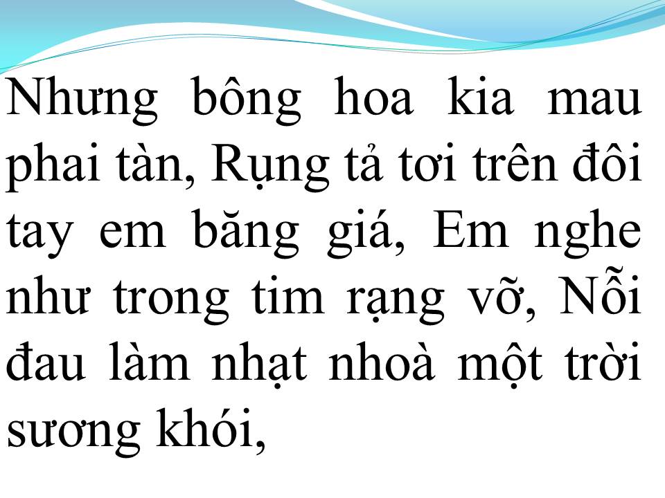 Lời bài hát NỤ HỒNG MONG MANH