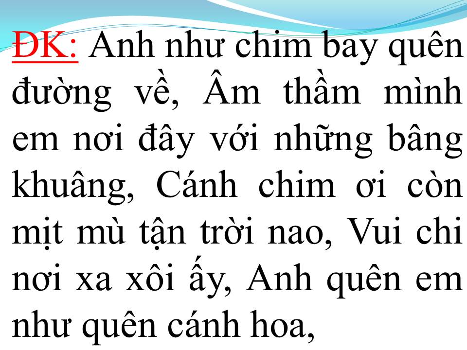 Lời bài hát NỤ HỒNG MONG MANH
